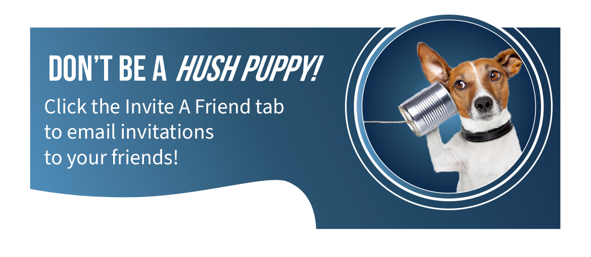 ICS Campaign ICS Campaign